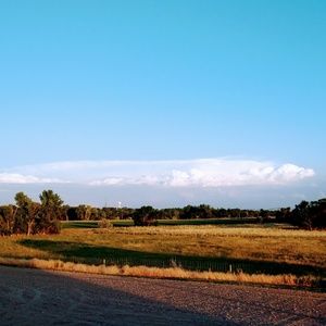 Meet your Posher, Mandie